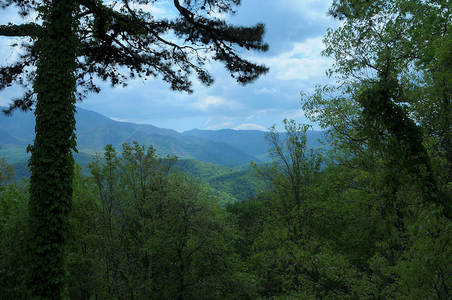 cabin mountain view