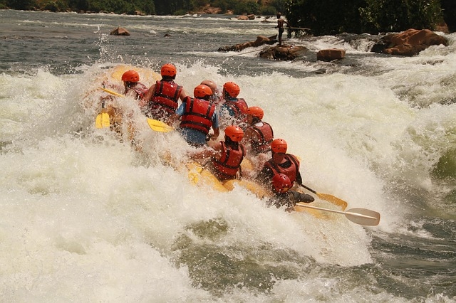 white-water-rafting-354505_640.jpg