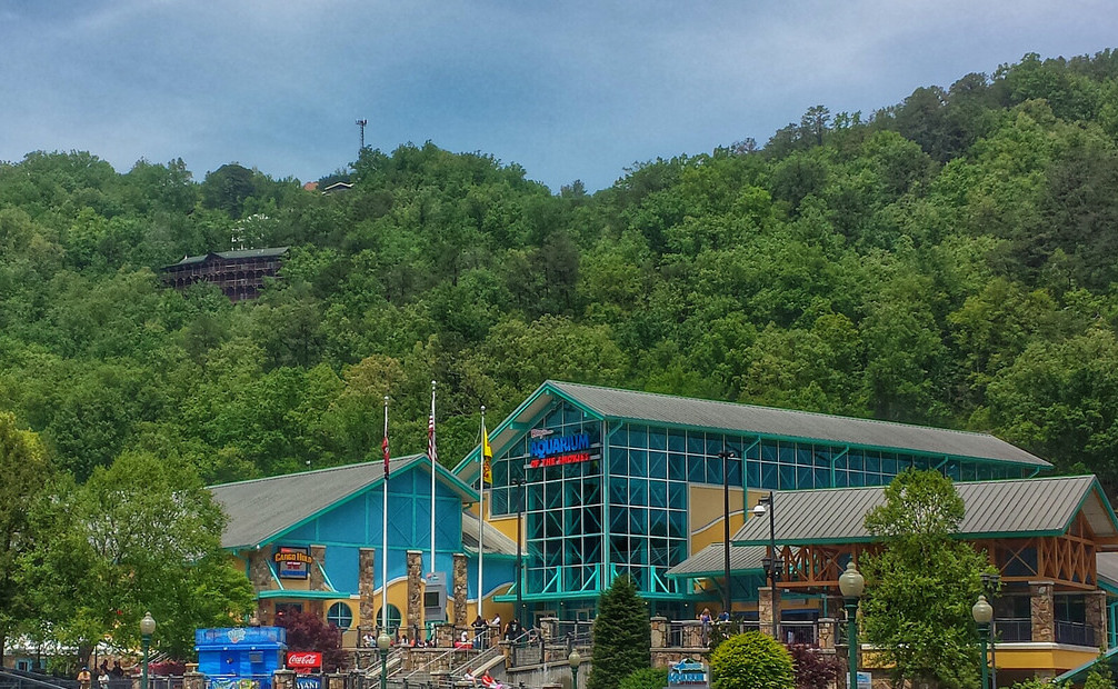 Gatlinburg Ripley's Aquarium of the Smokies