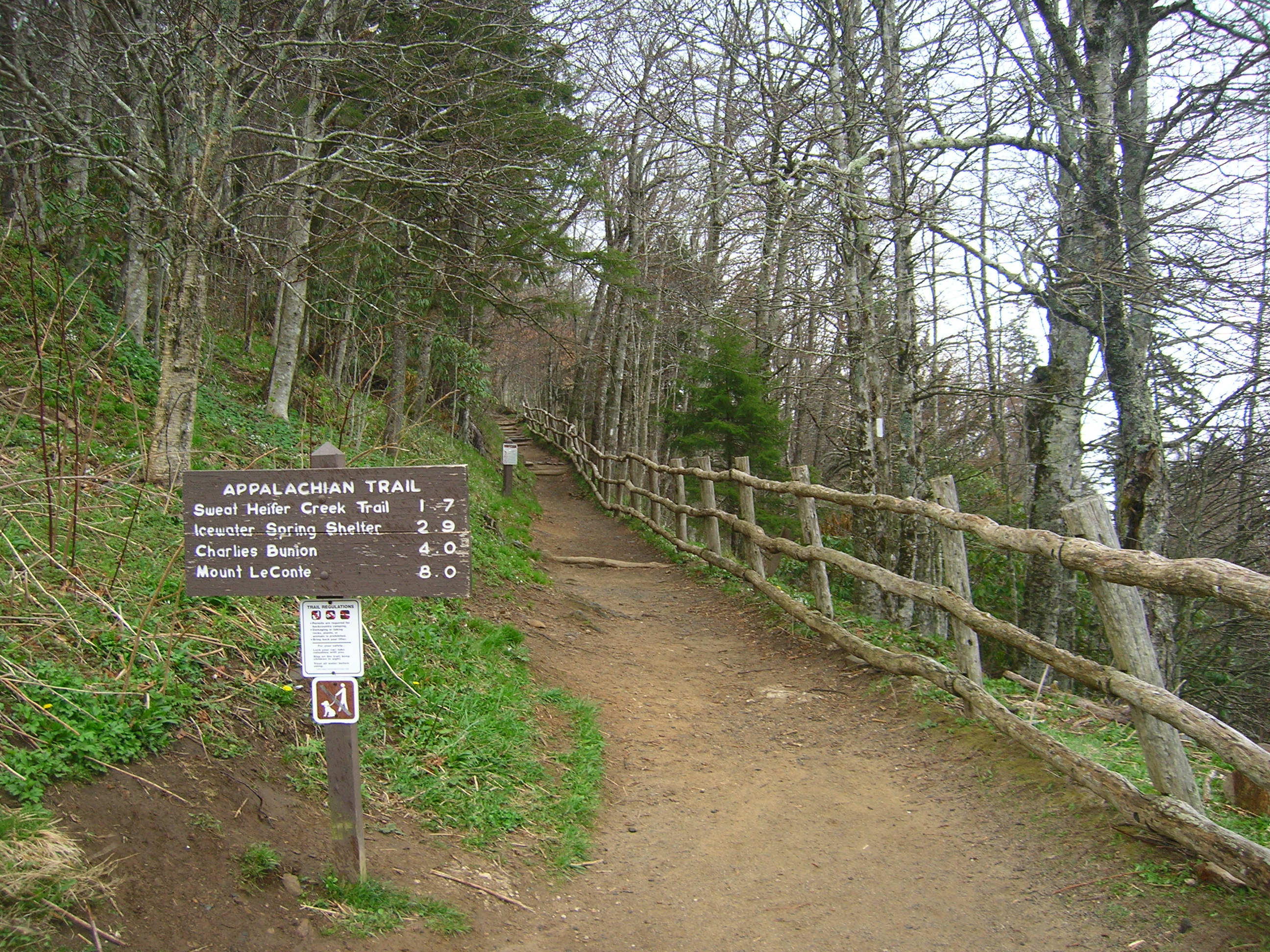 Appalachian_Trail.JPG