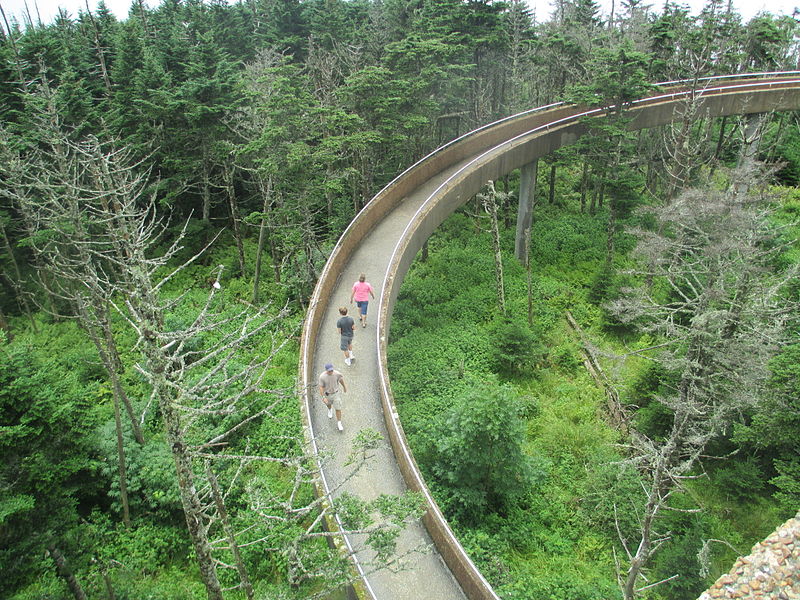 clingmansdome.JPG