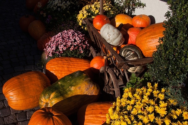fall.jpg