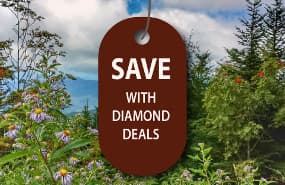 SAVE with Diamond Deals