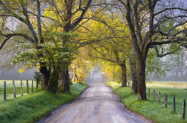 Cades_Cove_Spring.jpg