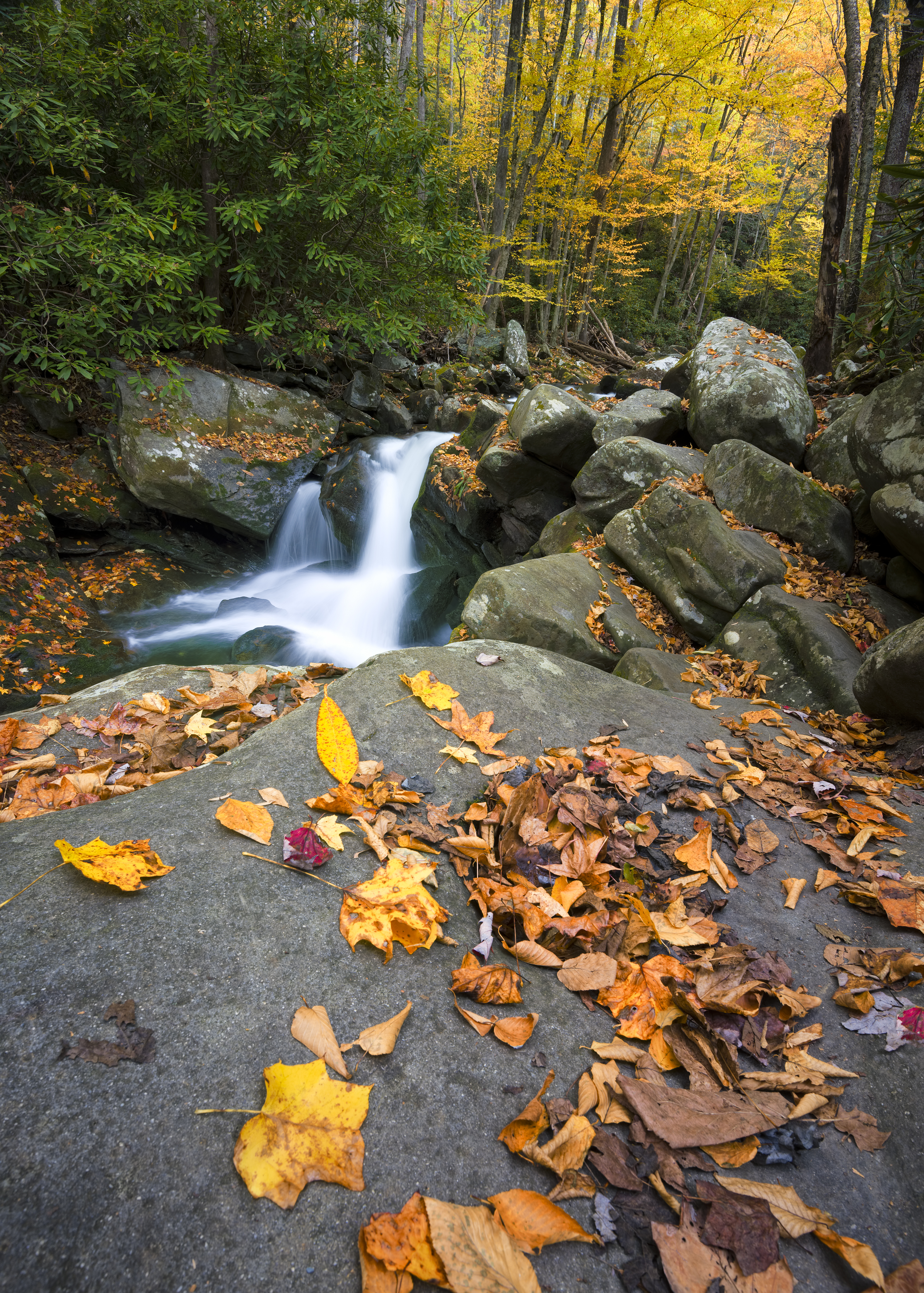 gatlinburg-mountain-stream.jpg