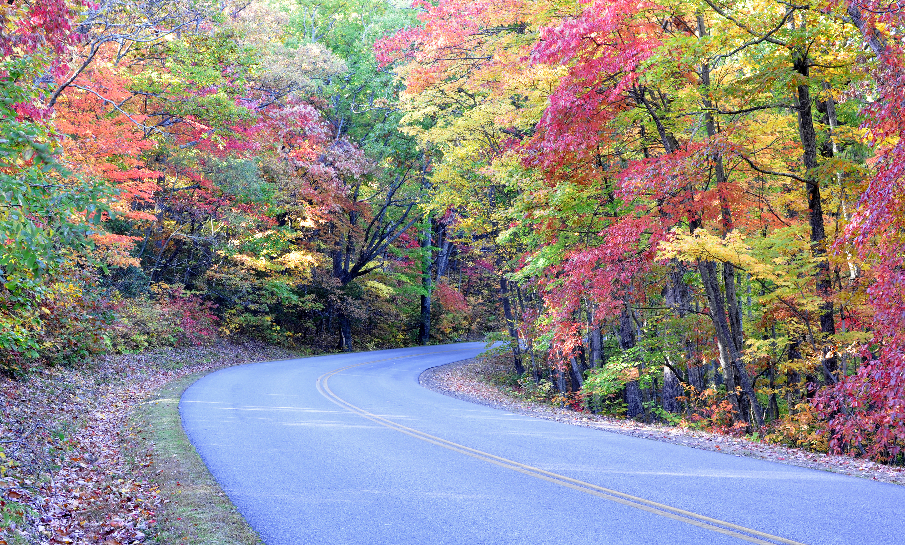 smoky-mountain-autumn-road.jpg