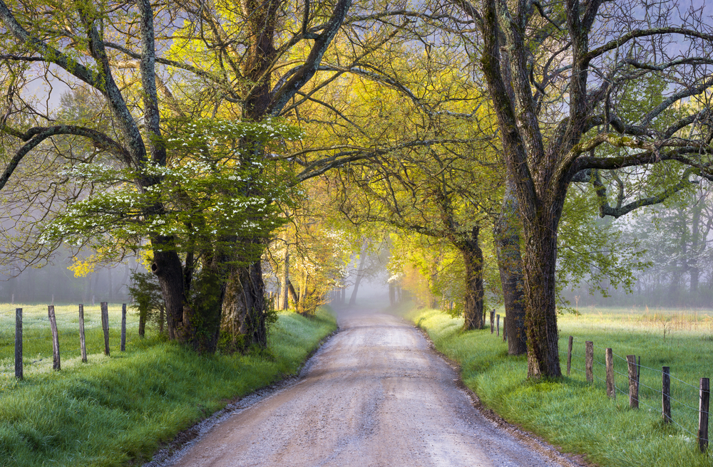 Cades Cove in the spring