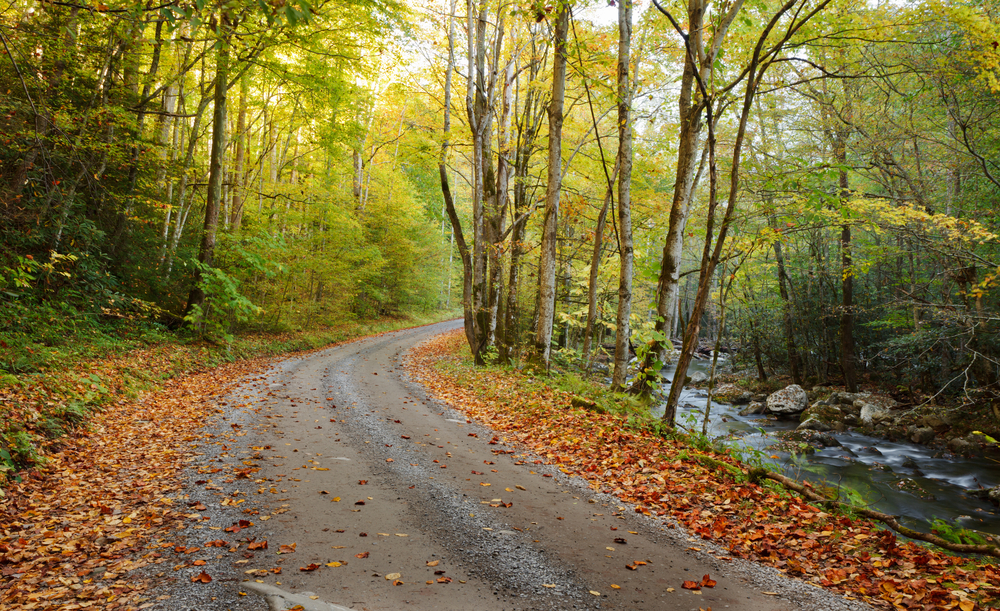 Scenic road in the Smoky Mountains