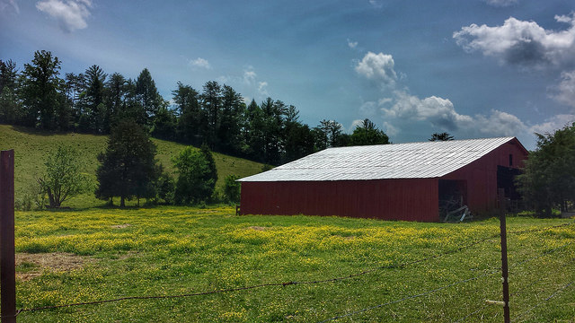 Smoky Mountain Trip