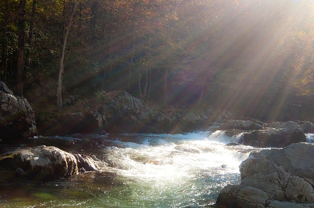 Gatlinburg hikes - creek