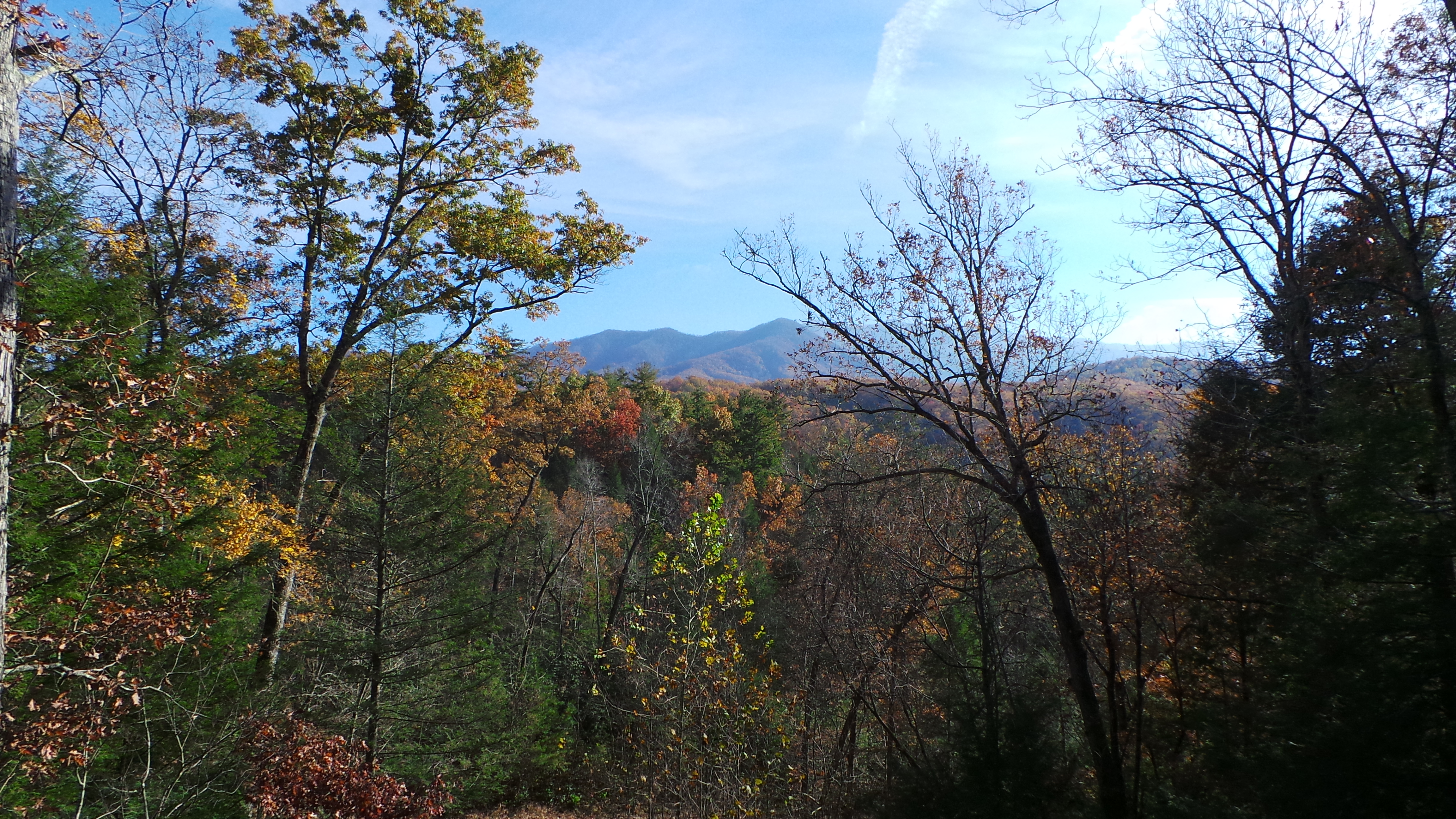 MOUNTAIN VIEW FROM DECK.JPG