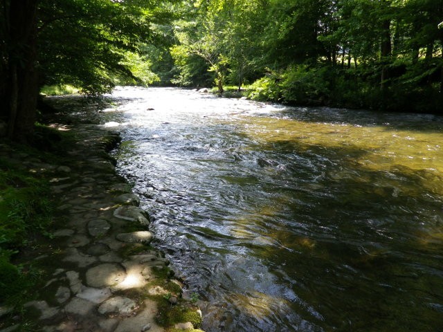 river.jpg