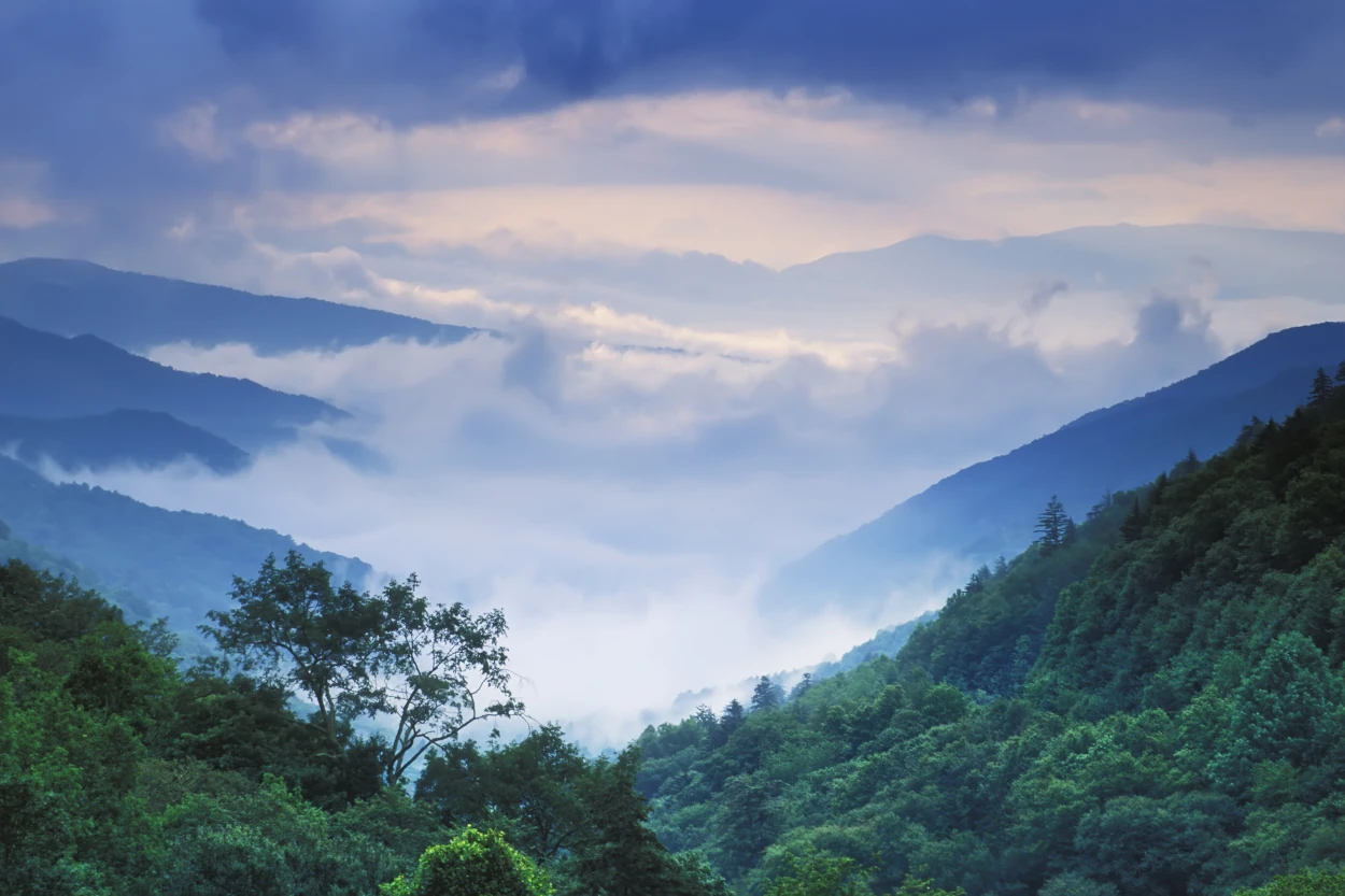 Smoky Mountain Mist