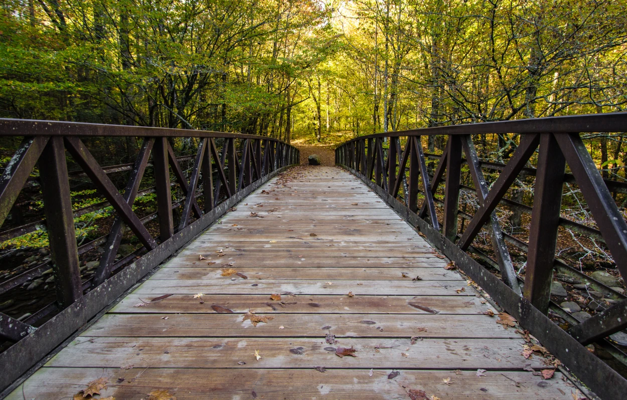 Wooden bridge